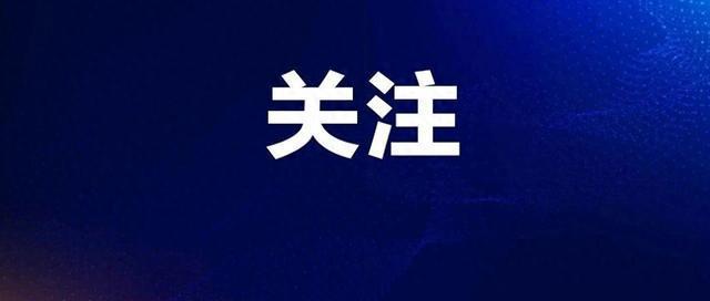 2024年12月22日 第44页