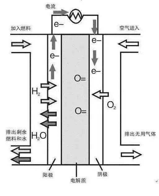 2024年12月23日 第58页