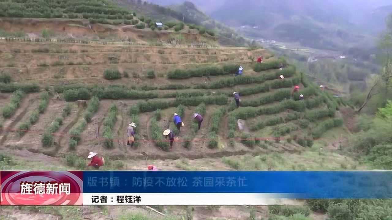 旌德最新大新闻-旌德最新重磅资讯