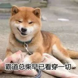 最新南宁下司犬买卖：南宁下司犬交易资讯