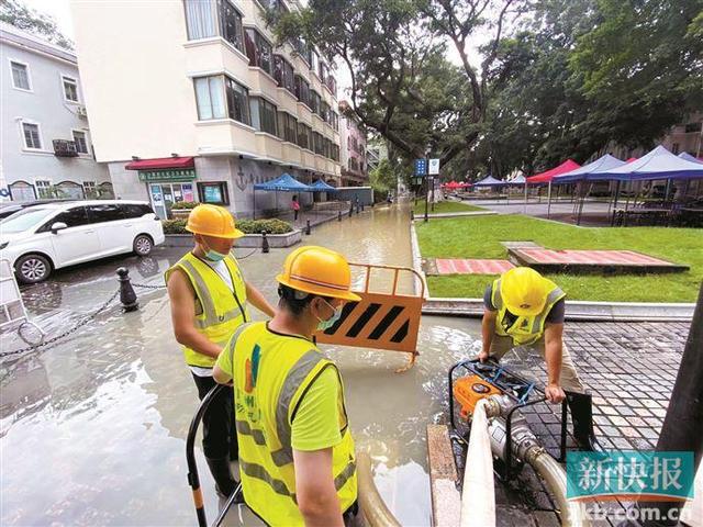 珠江水位最新消息，珠江水位实时动态