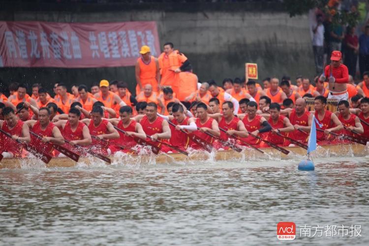 盛夏龙舟竞渡盛宴，最新赛事资讯速递