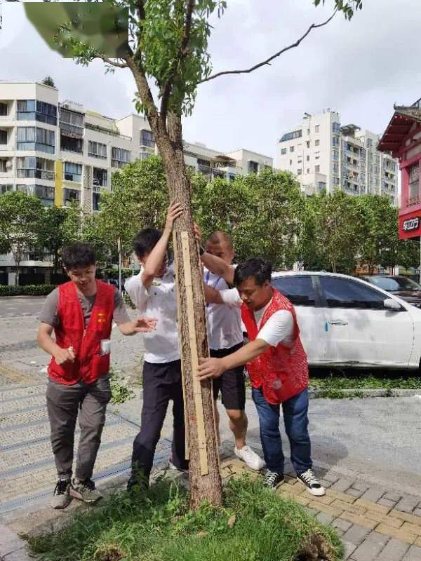 哈尔滨喜迎台风新动态，共筑安全美好家园