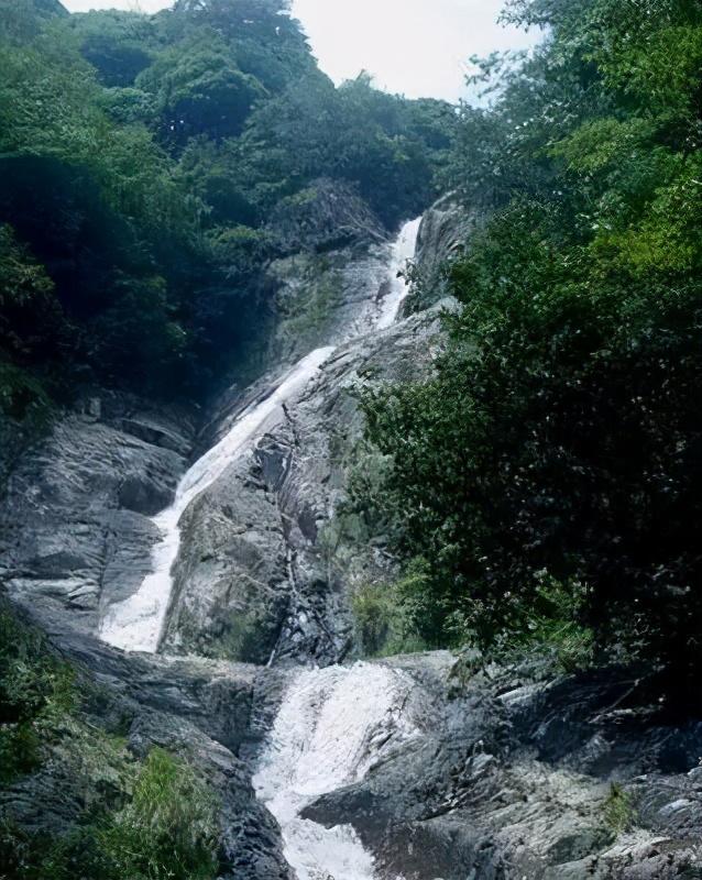 仙峰抚州喜讯连连，美好未来共期待