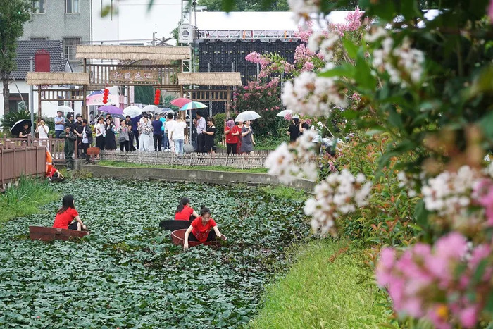 “菱湖镇菱花盛开，喜报频传，精彩瞬间不容错过”