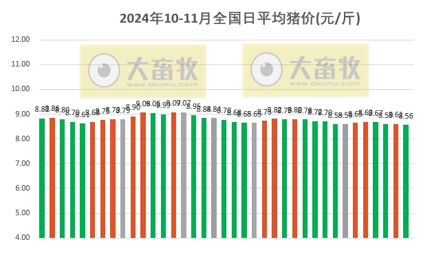 生猪市场今日亮点，价格行情喜人一览