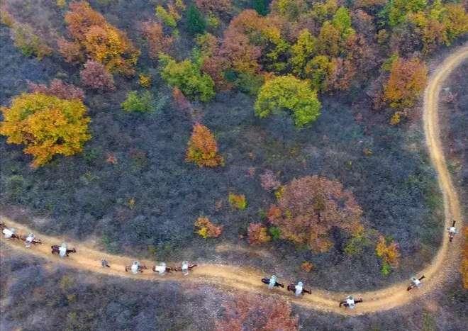 四川地区水电站最新职位招聘信息汇总